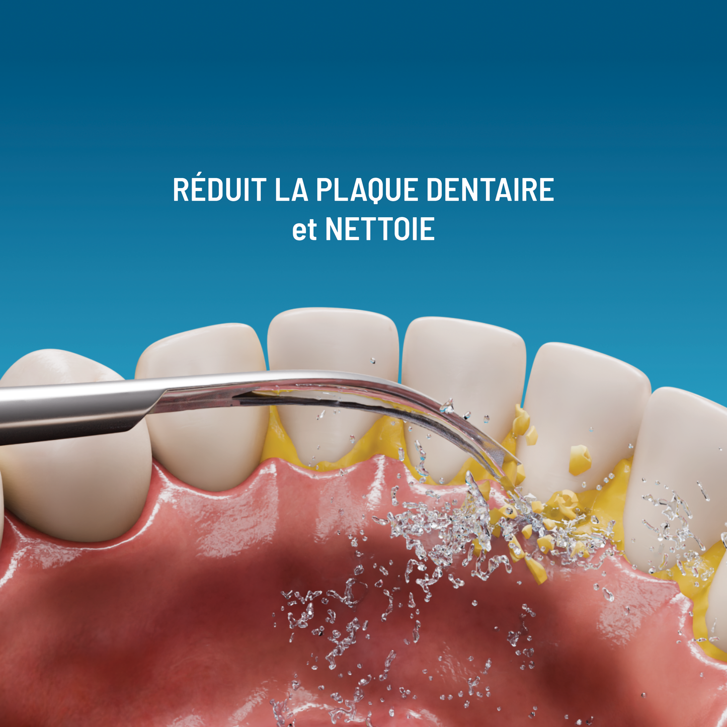 3 X têtes détartrantes pour Haepi Julia