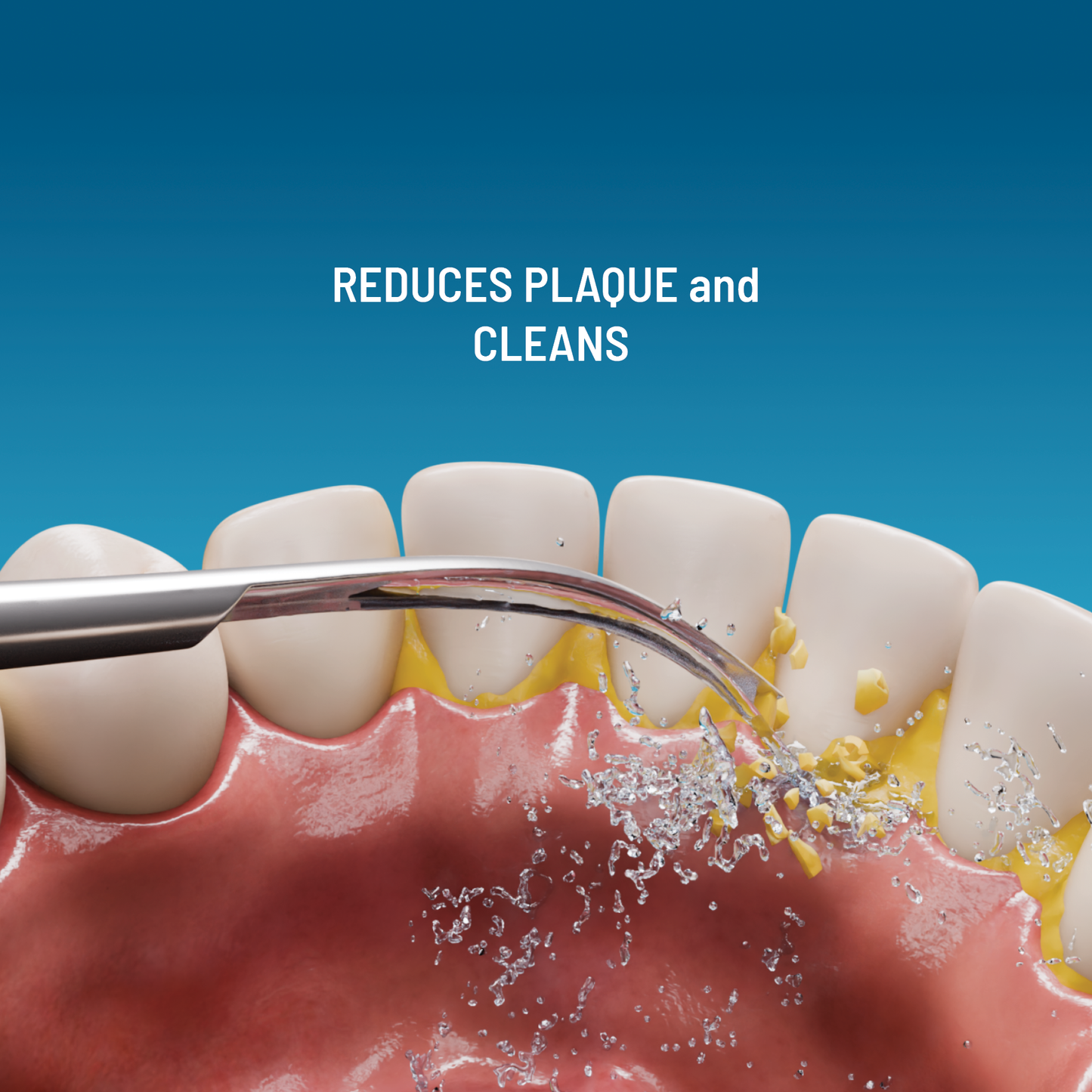 Brosse à dents 3-en-1 Haepi Julia : Le Pack Duo