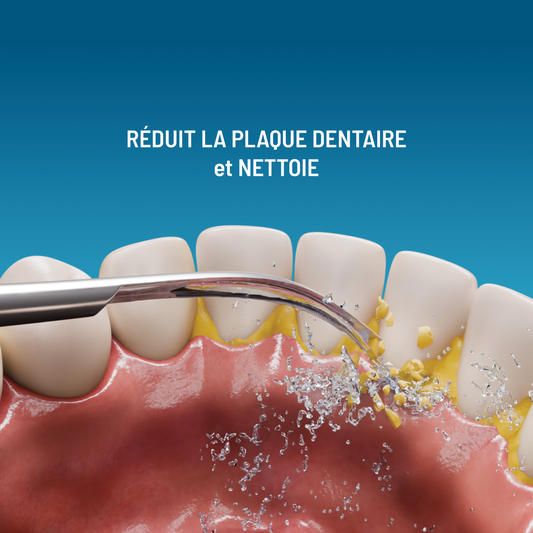 3 X têtes détartrantes pour Haepi Julia